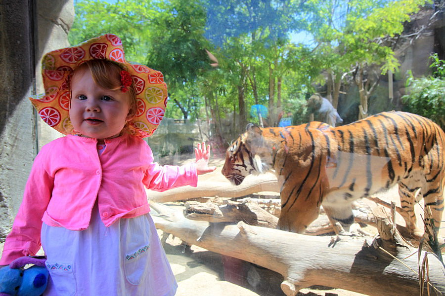carey zoo.jpg
